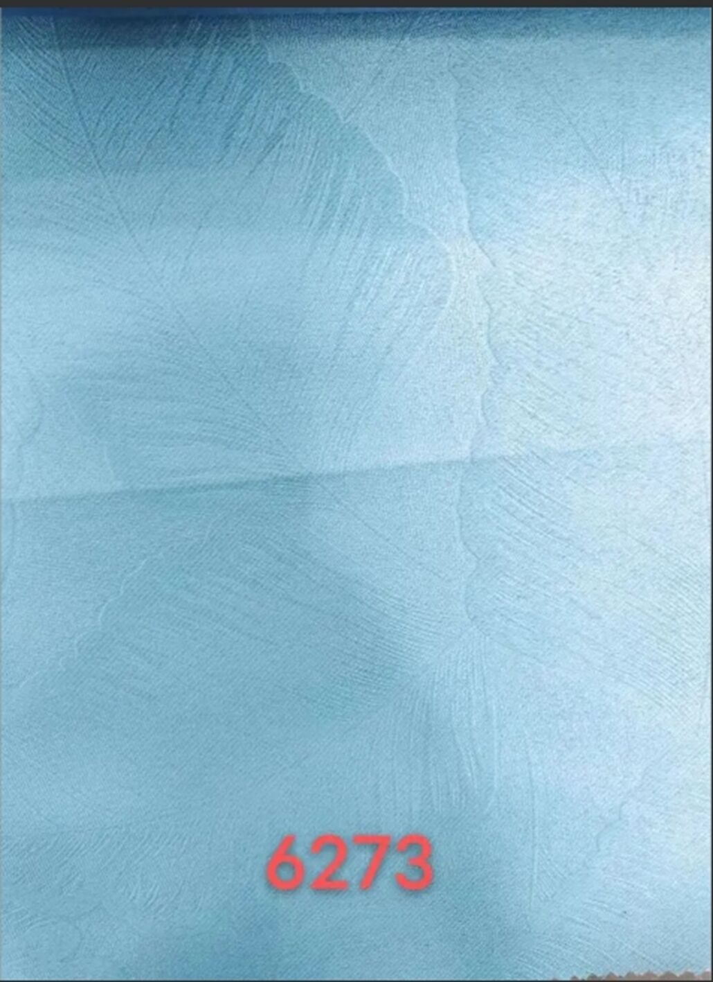 221.jpg