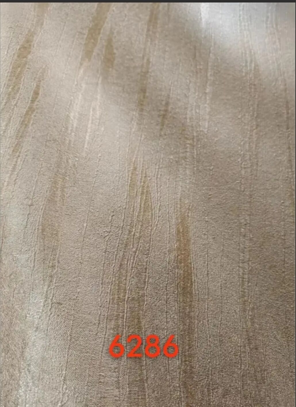 231.jpg