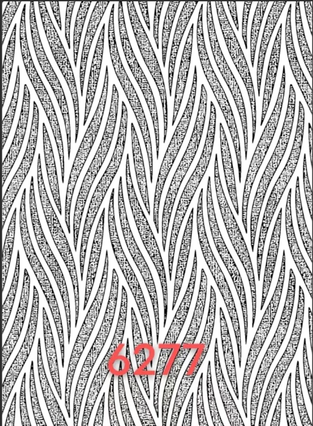 224.jpg