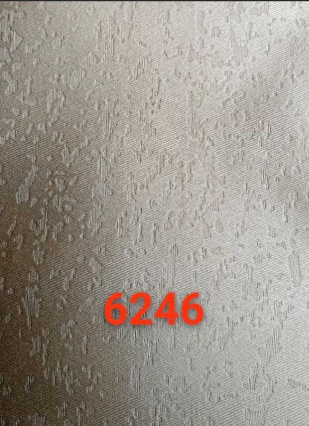 198.jpg