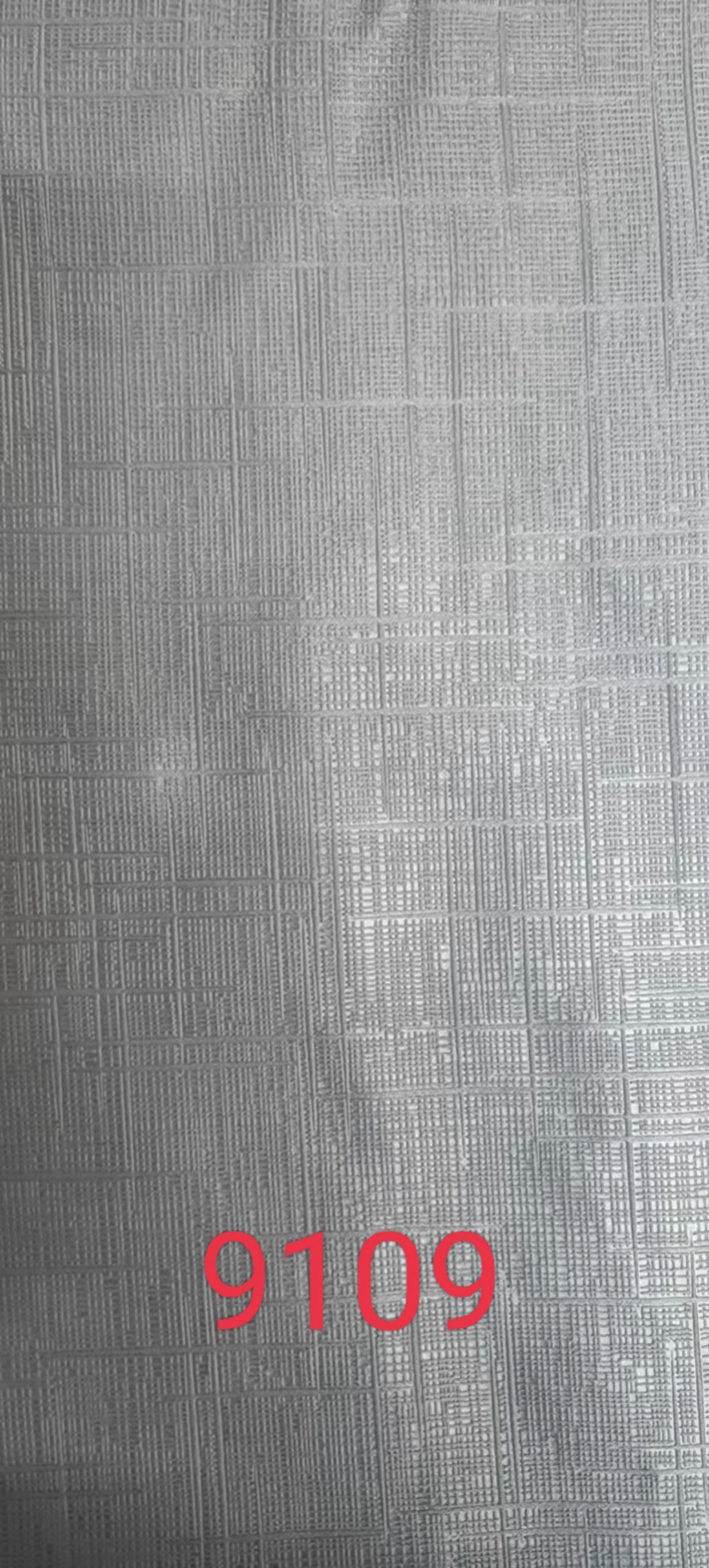 9109.jpg