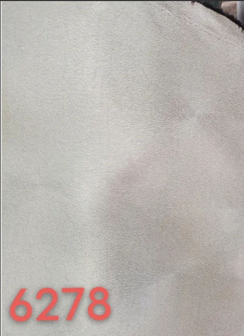 225.jpg