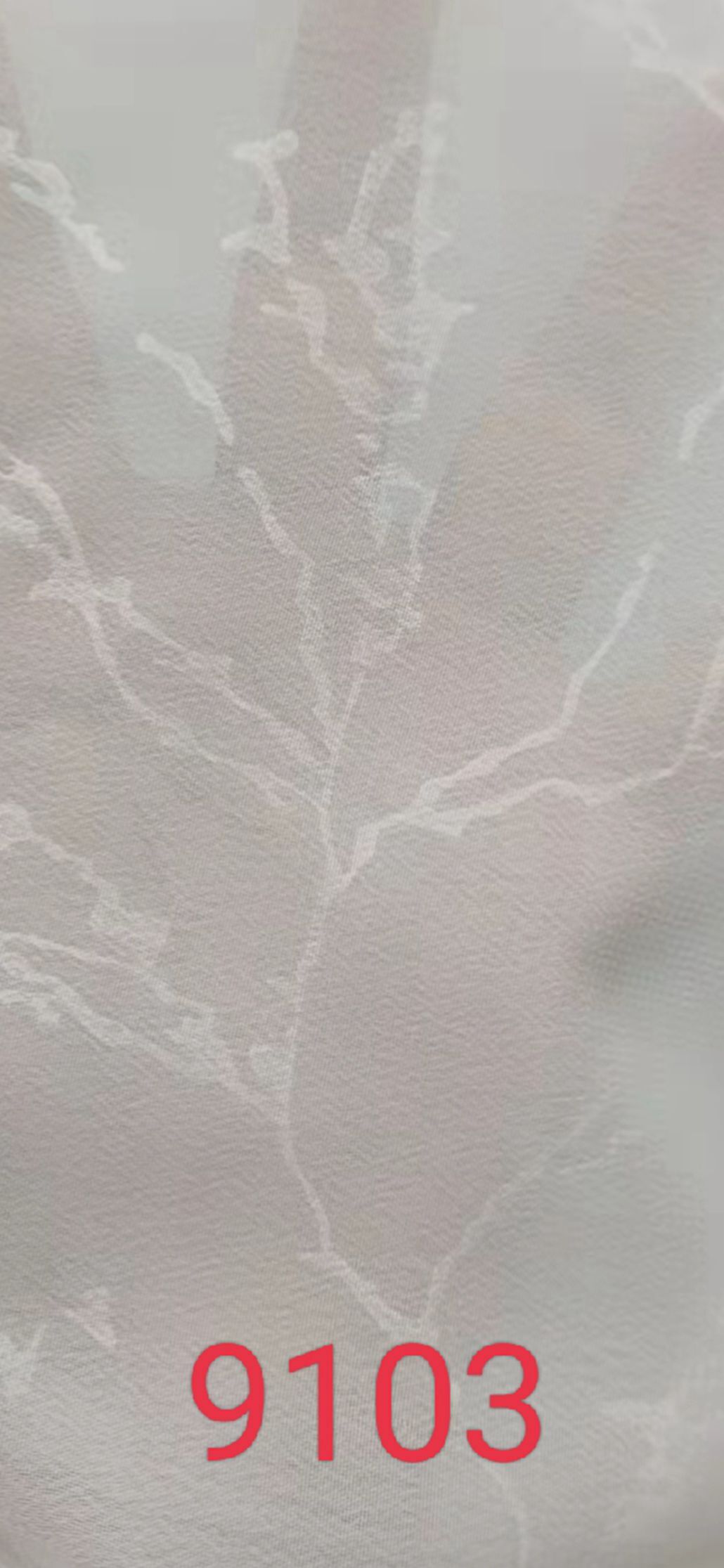 9103.jpg