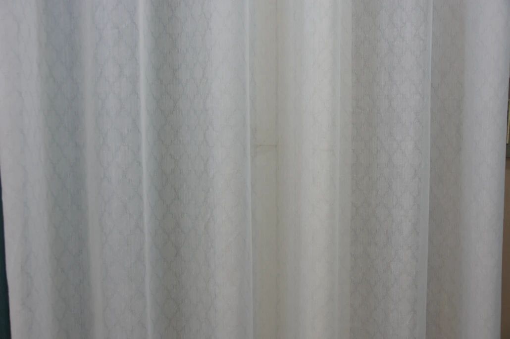 441.jpg