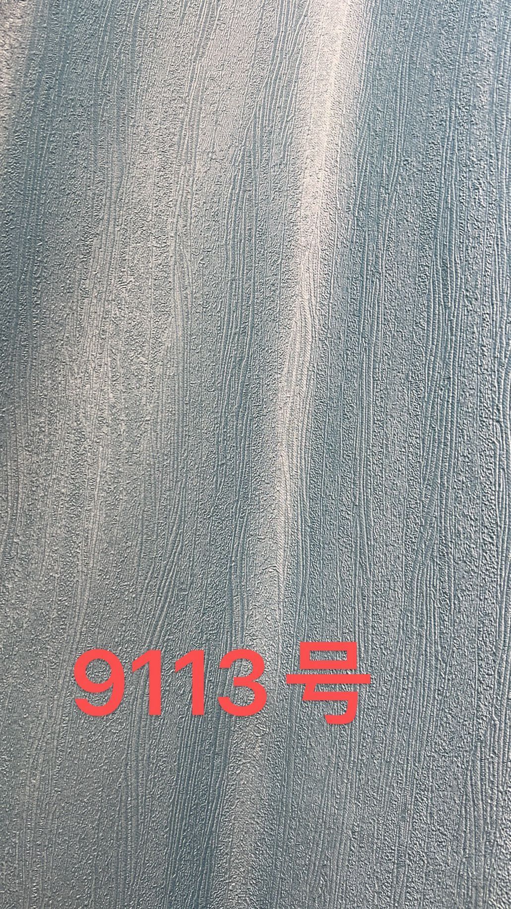 9113.jpg