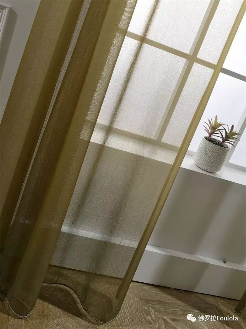 65.jpg