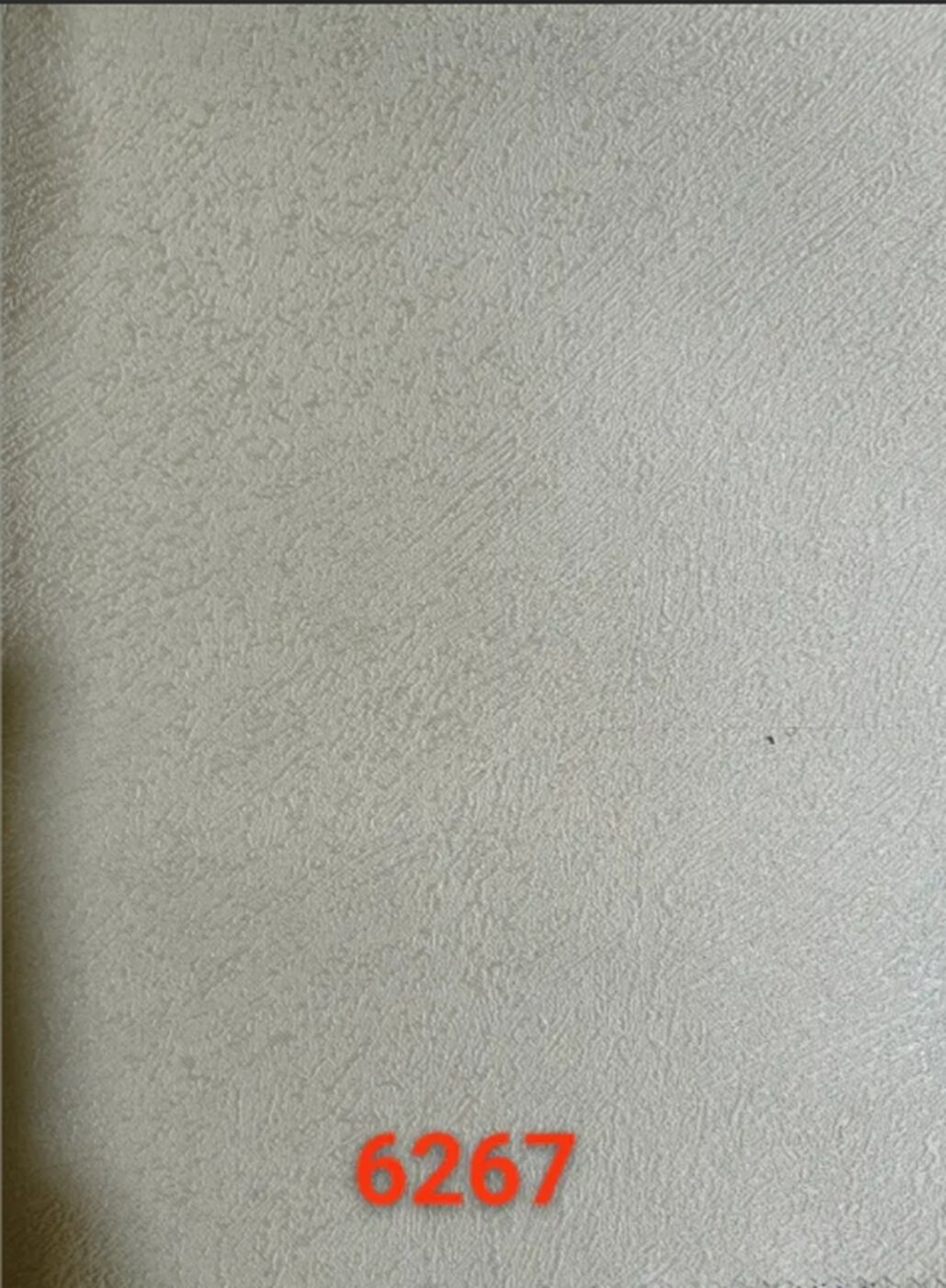 215.jpg