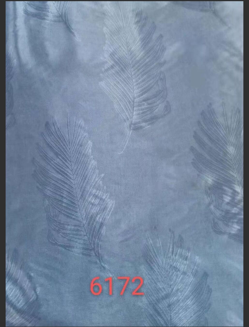 144.jpg