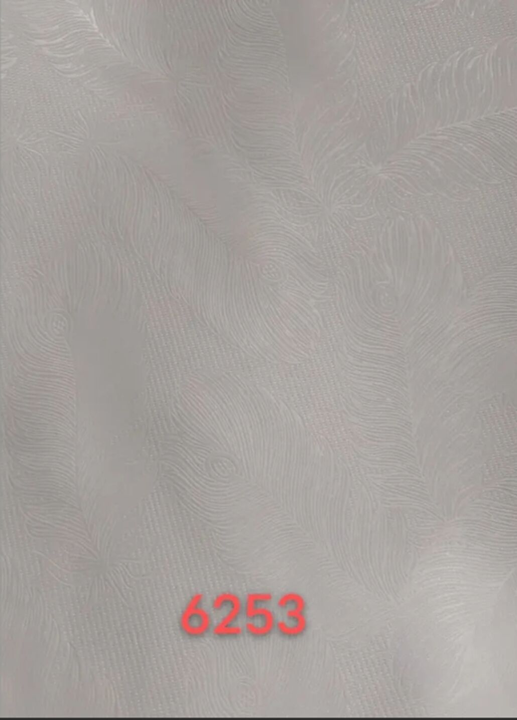 205.jpg