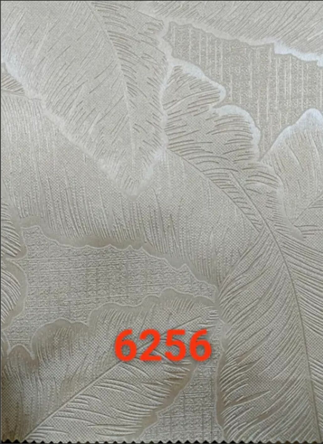 206.jpg