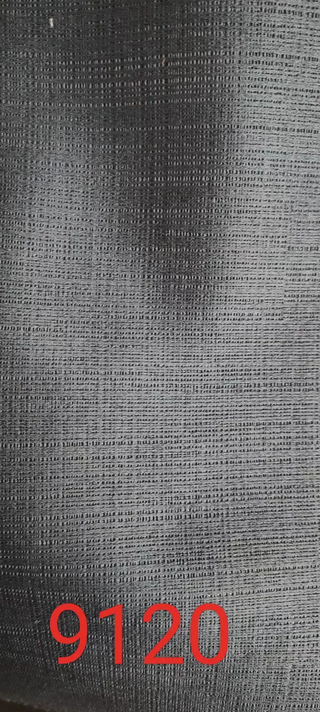 9120.jpg