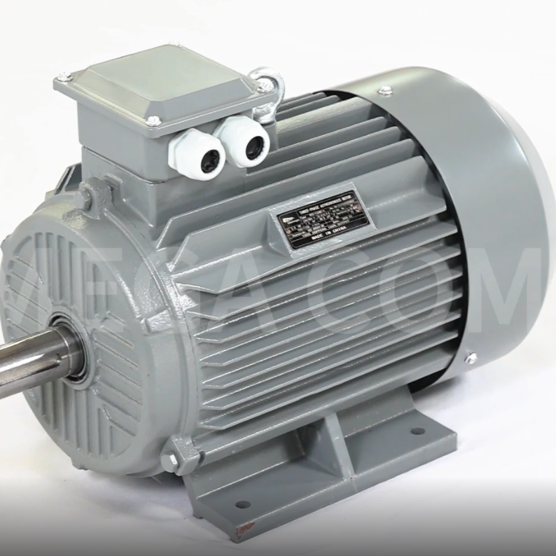 High-Performance Electric Motors for Conveyor Systems and Industrial Power Applications – Sample Showcase
