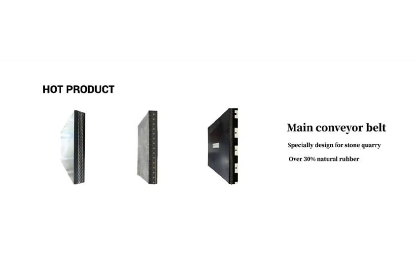 Customization Capability