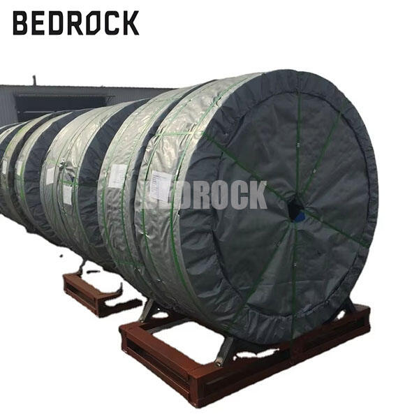 What Common Issues Should You Know About Conveyor Belt EP 500 3?