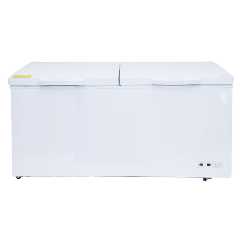 Descubra las Mejores Soluciones en Congeladores Horizontales Comerciales