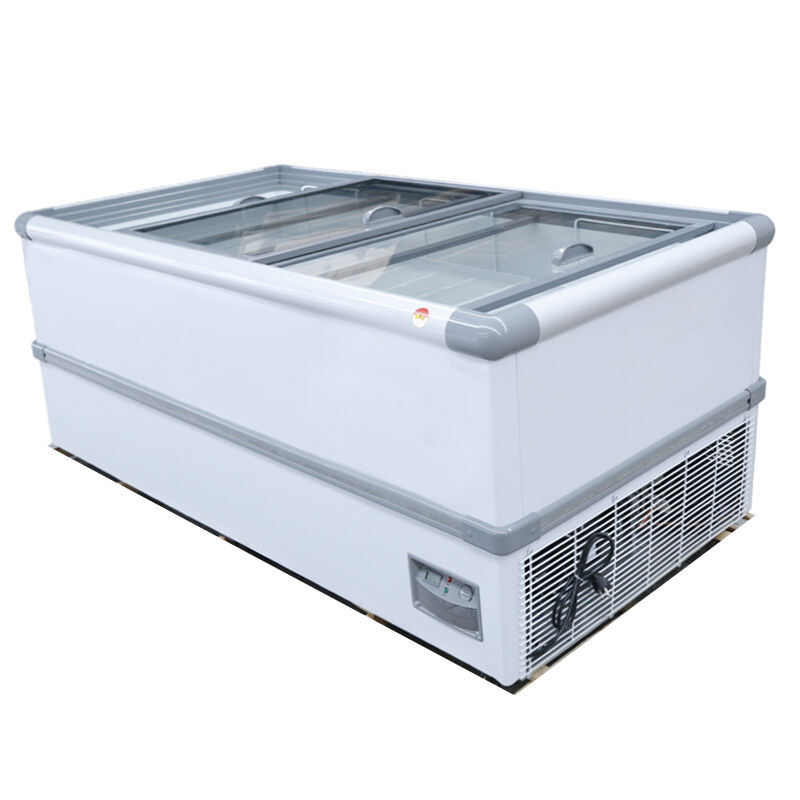 Premium Commercial Freezer Solutions in Stainless Steel