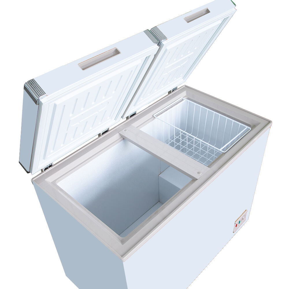 Descubra Nuestras Soluciones Premium de Congeladores Verticales Profundos