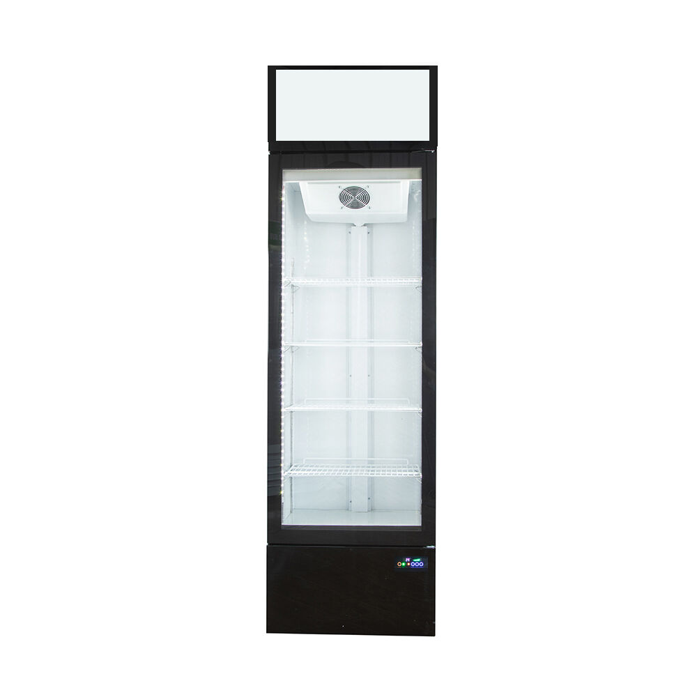 Premium Cold Drink Fridges for Every Business Need