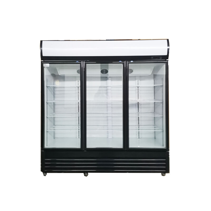 ثلاجات عمودية ذات أبواب زجاجية فاخرة لنشاطك التجاري