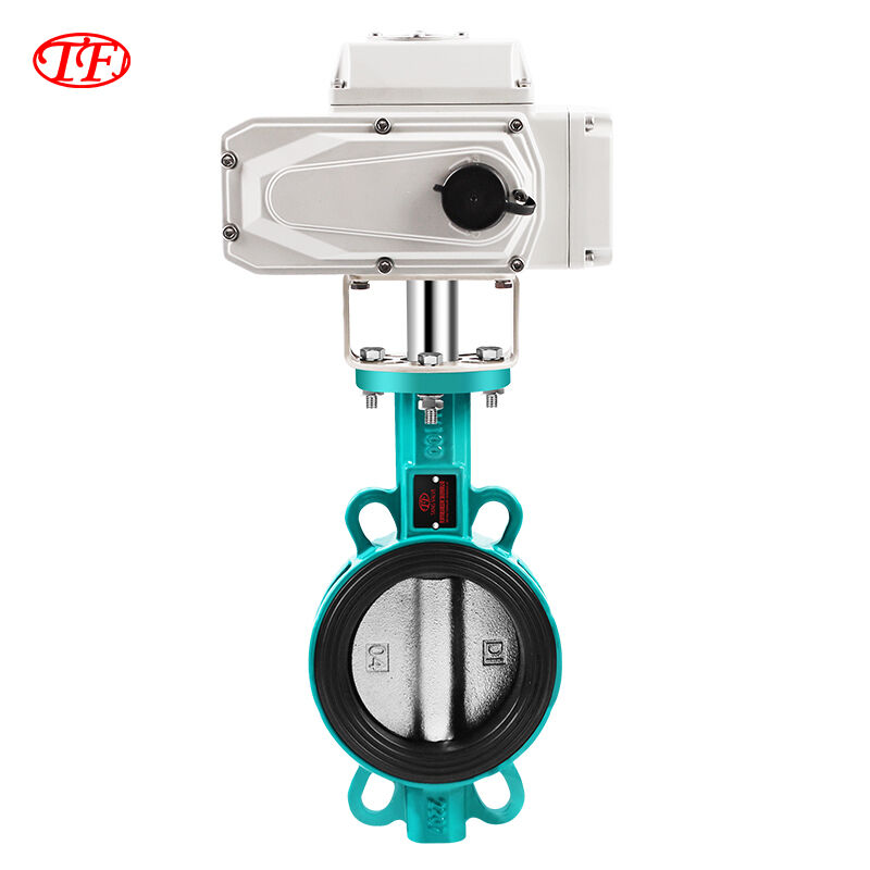 Ductile Iron Electric Actuator Wafer Butterfly Valve EPDM Green D971X-20Q