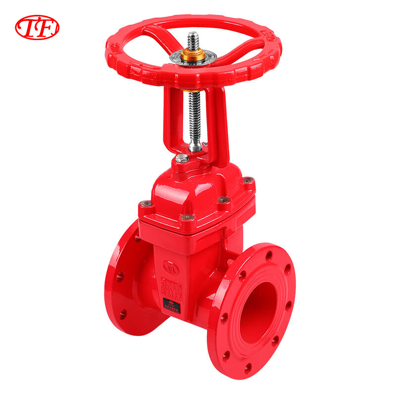 Flanged Rising Stem Copper Core Protected Gate Valve Z41T-16Q