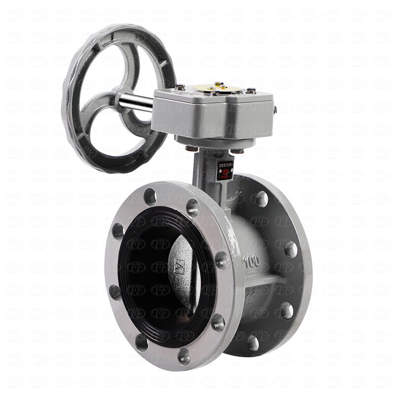 Valvulae Industriales WCB Altae Qualitatis | Valvulae Ferro Fuso Portae, Globi, et Retentionis | TF Valve