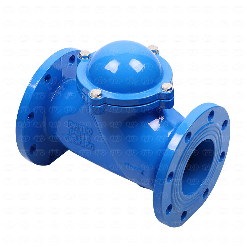 Why Alarm Check Valves Matter in Safety