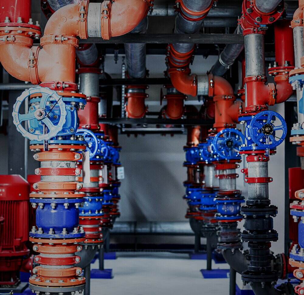 Guangdong University