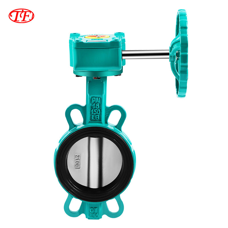 Ductile Iron Worm Gear Drive Wafer Butterfly Valve EPDM Green D371X-20Q