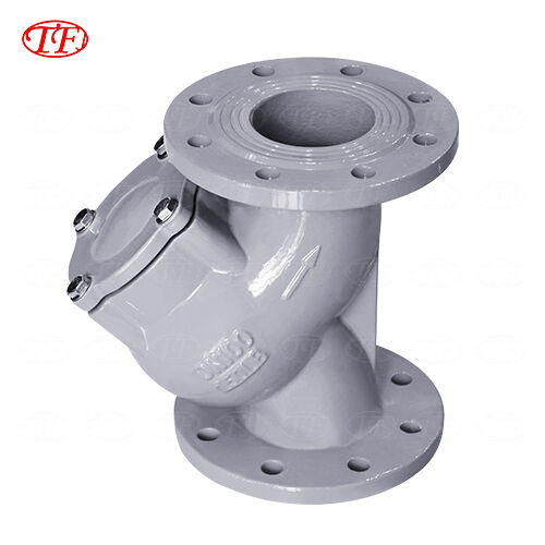 Flanged Y-Type Filter