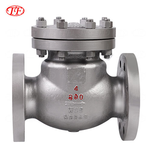 Cast Steel Check Valve