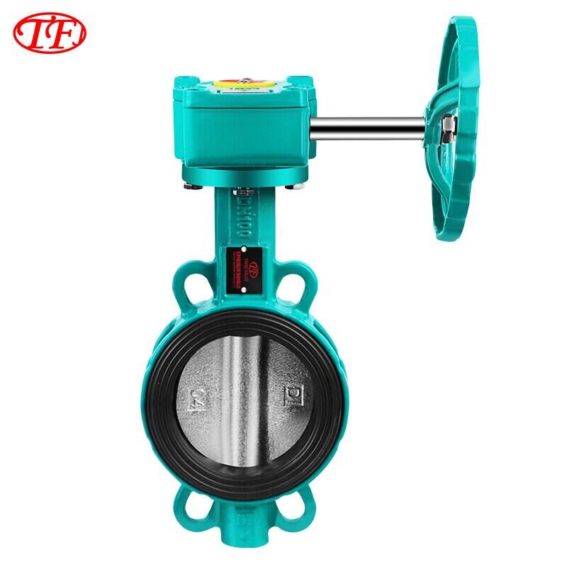 Ductile Iron Worm Gear Drive Wafer Butterfly Valve EPDM Green D371X-20Q