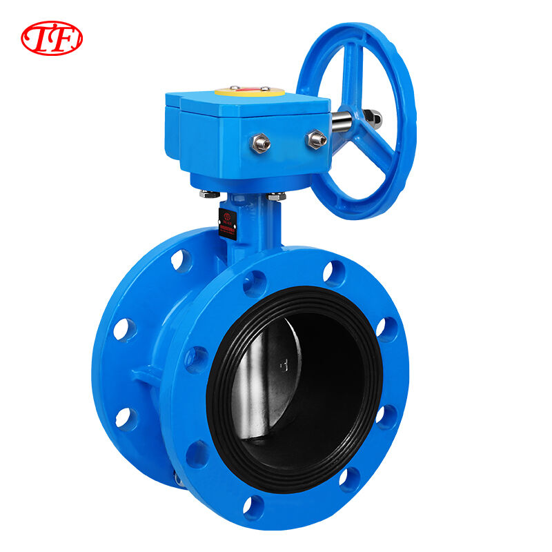 Ductile Iron Worm Gear Drive Flange Butterfly Valve EPDM Blue D341X-16/10Q