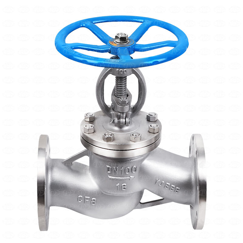 Cast Steel Globe Valves: Selecting for ROI Gains