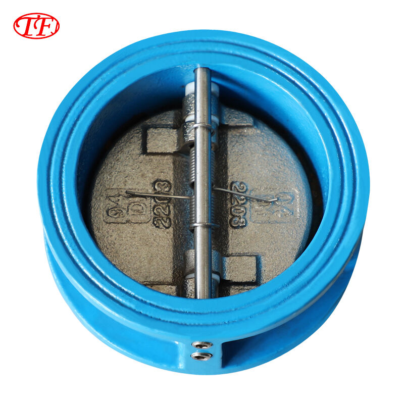 Ductile Iron Wafer Double Leaf Butterfly Check Valve H76X-16Q