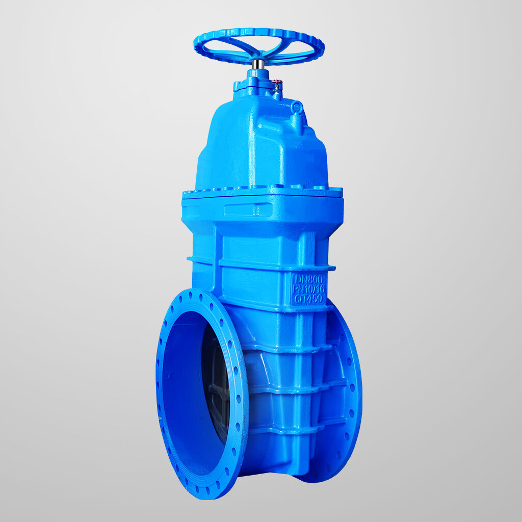 Flexible Non-rising Stem Flanged Gate Valve DN800