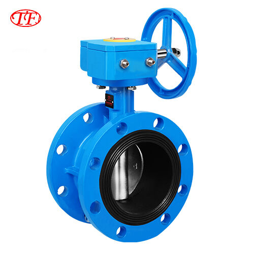 Ductile Iron Worm Gear Drive Wafer Butterfly Valve EPDM Blue D341X-16/10Q