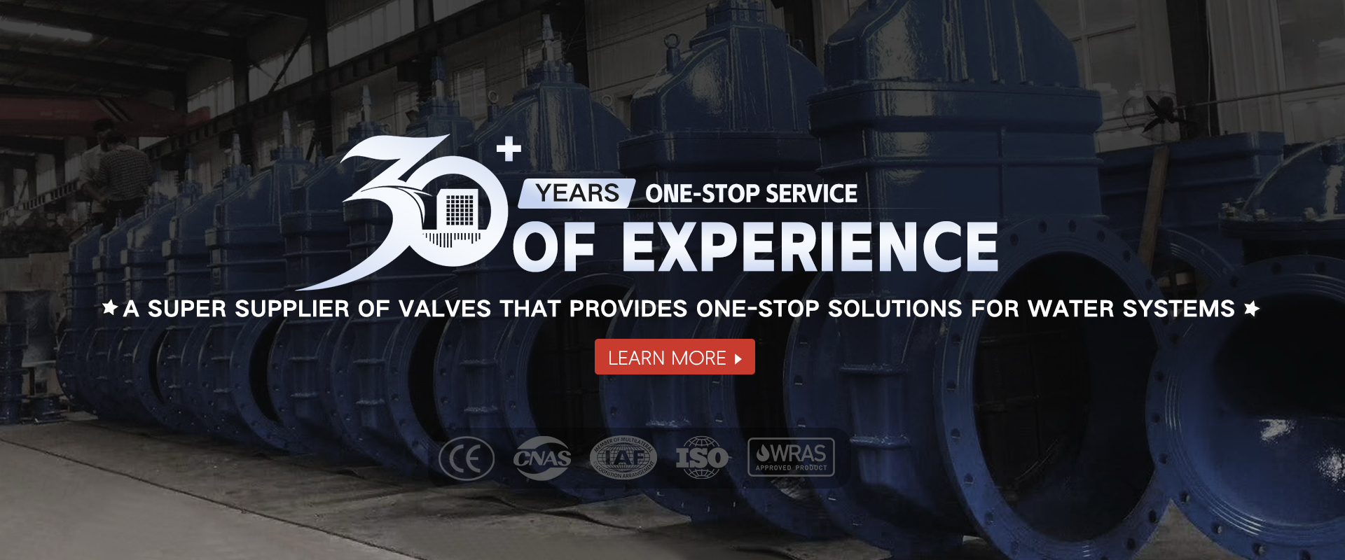 30+Years One-Stop Service of Experience