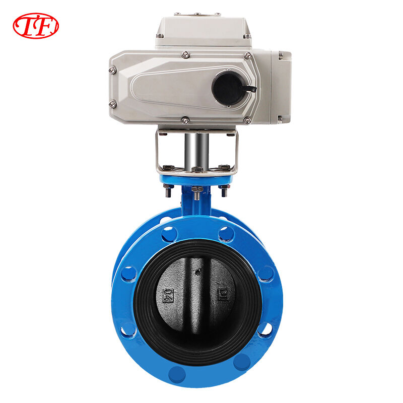 Ductile Iron Electric Actuator Flange Butterfly Valve EPDM Blue D641X-10/16Q