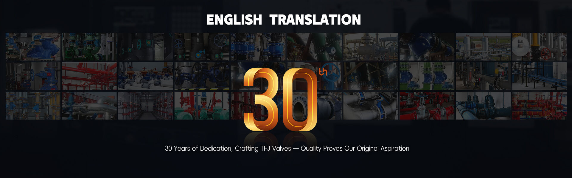 Valve Solution Case Studies: Water, HVAC & Infrastructure Projects | TFJ Valves