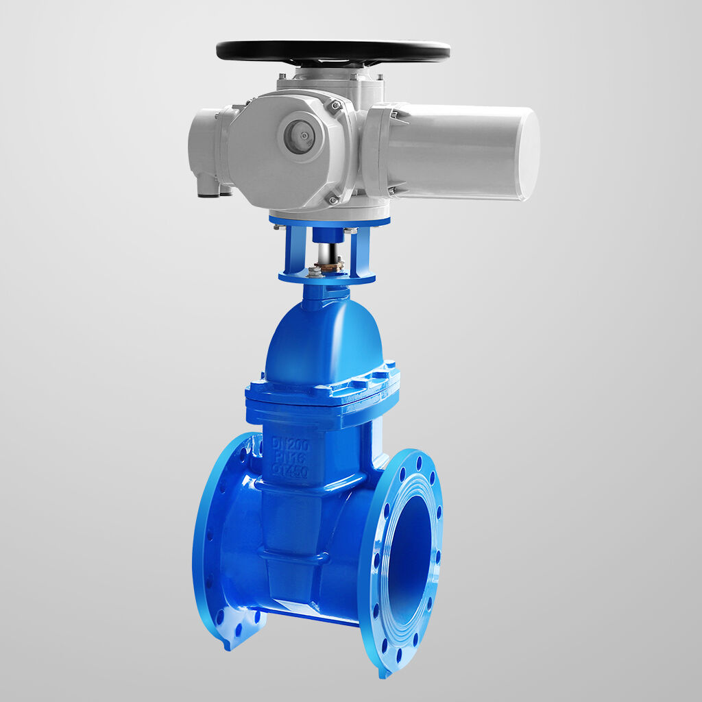Electrically Operated Soft-Seal Gate Valve