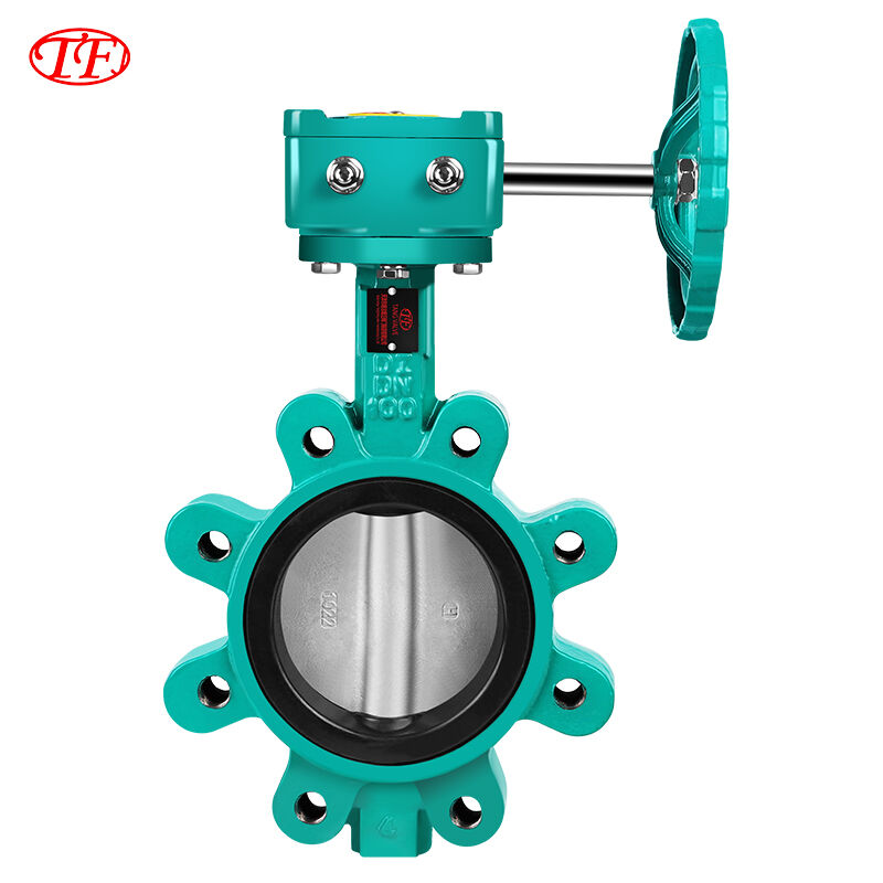 Cast Steel Manual Worm Gear Lug Butterfly Valve EPDM