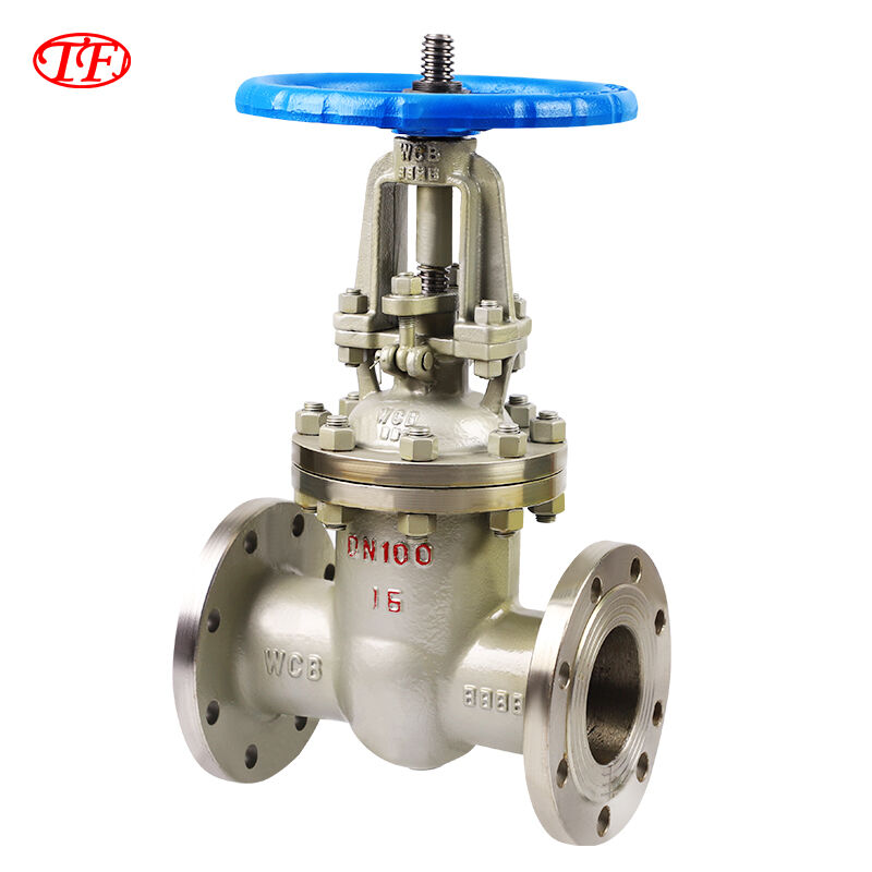 Flanged Rising Stem Soft-seal Gate Valve Z41H-16C