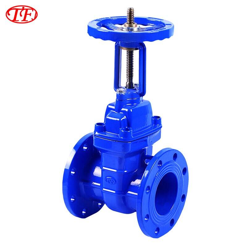 Flanged Outside Screw & Yoke Soft-sealed Gate Valve Z41X-25Q