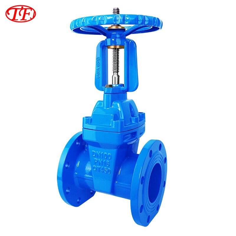 Flanged Outside Screw & Yoke Soft-Sealing Gate Valve
