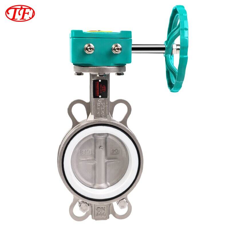Stainless Steel Worm Gear Drive Wafer Butterfly Valve PTFE D371X-20Q