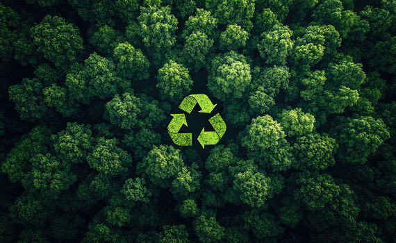 What is biodegradable packaging (6).png