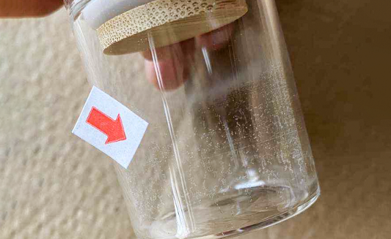 Will Glass Bottles (7).png