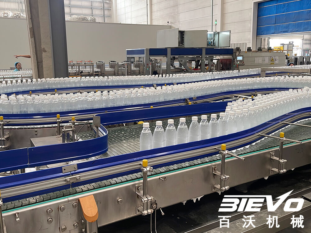 6Flat Conveyor.jpg
