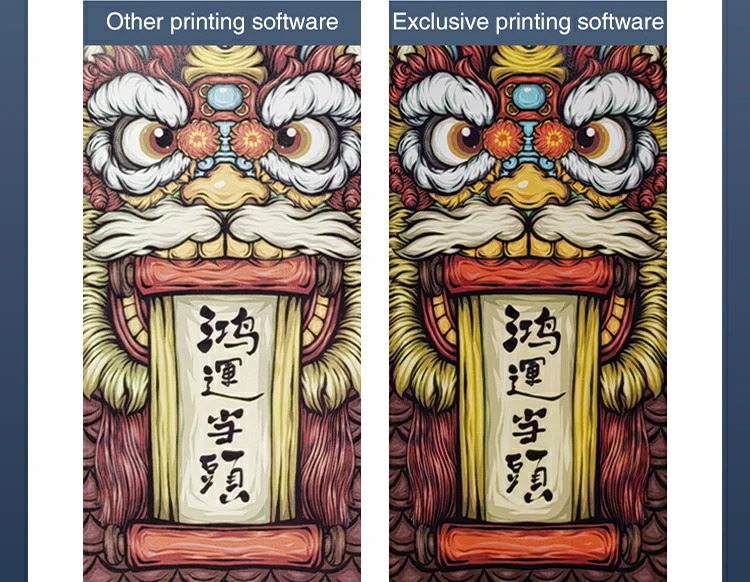 Shenyang FAITH Customized One Pass Carton Printer details